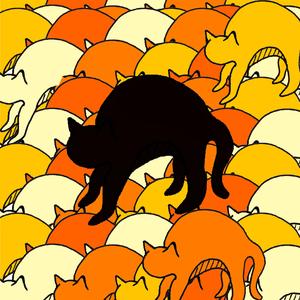 Black Cat