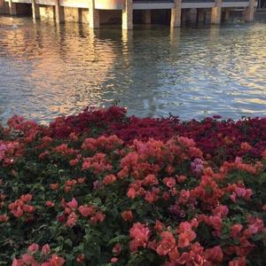 Right Now (Na Na Na) - Cj-ZiRong