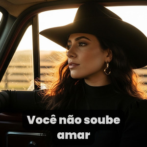 Você Não Soube Amar