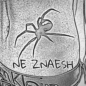 NE ZNAESH