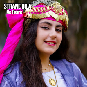 Ve Evare