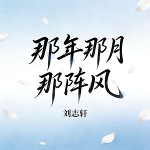 那年那月那阵风