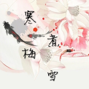 寒梅煮雪（Cover 灰老板 / 萧忆情）