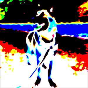 Opus 3
