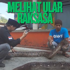 MELIHAT ULAR RAKSASA