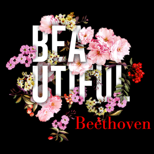 Beethoven:Violin Concerto in D Major, Op. 61, ii. Larghetto