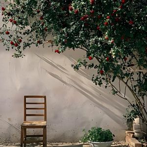 我试着与你重逢吧