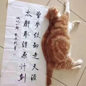 我是雨天的河(男 1 版)