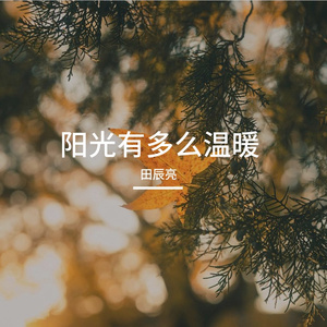 阳光有多么温暖