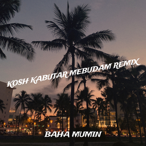 Kosh Kabutar Mebudam (Remix)