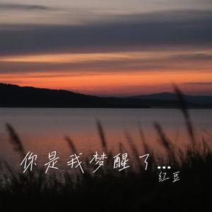 你是我梦醒了见不到的人 (Cover 吕口口)