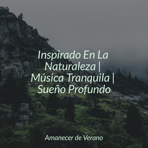 Deriva Floral del Crepúsculo