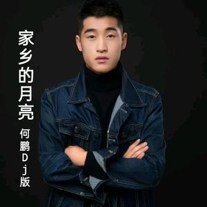 家乡的月亮何鹏Dj版