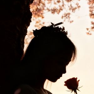 我的城市没有你