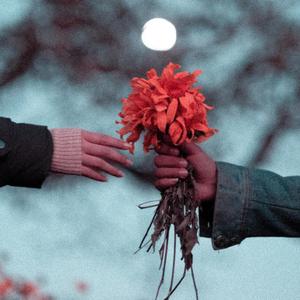 Nangi Nungshibana (feat. Tonsing Khuraijam)