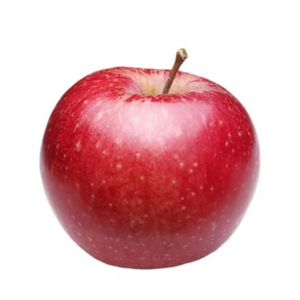 4+4(佢读协和唔系为咗救你命)