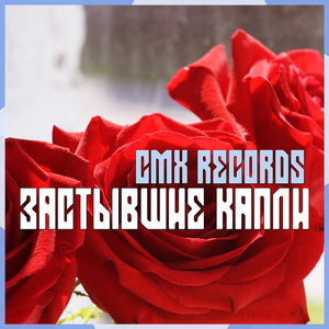 Застывшие капли