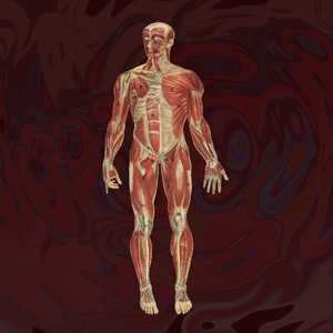 The Long Night Drive