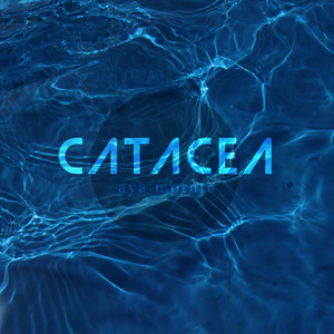 Catacea