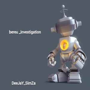 _BereU_InVesTiGatioN