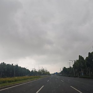 Pleasant Life