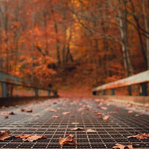 Never be the same (feat. Arnita Kelly)