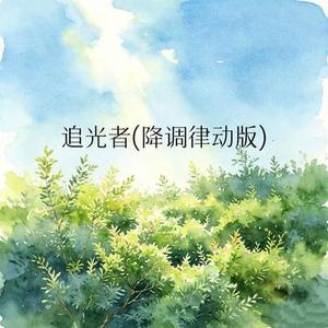 追光者 (降调律动版)