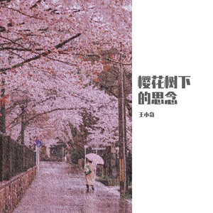 樱花树下的思念