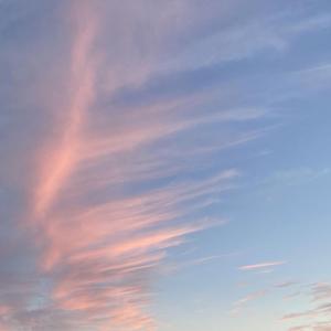 Can't stop the thoughts