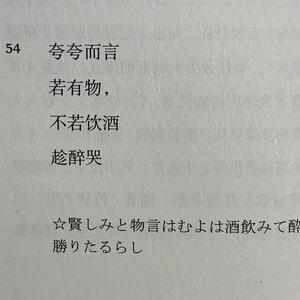 蒋雪儿-燕无歇（KINGWG remix）