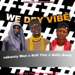 We Dey Vibe