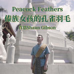 傣族女孩的孔雀羽毛/Peacock Feathers