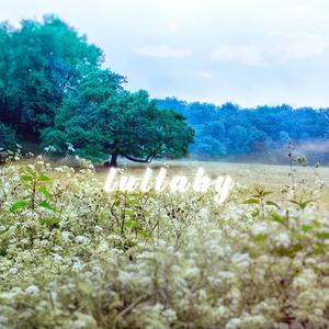 Lullaby