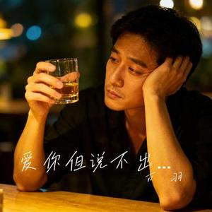 爱你但说不出口 (R&B版) (Cover Karencici)