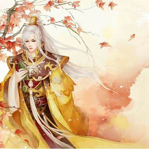 死在江南烟雨中