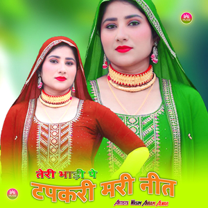 तेरी भाड़ी पे टपकरी मरी नीत