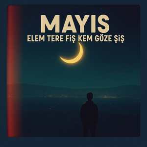 Elem tere fiş kem göze şiş