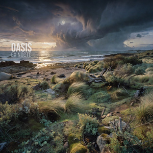 Oasis