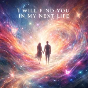 I Will Find You In My Next Life