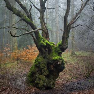 Dodgems (feat. Lewca)