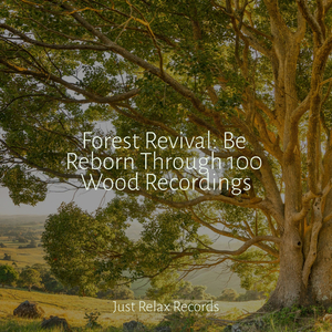 Enchanted Rhapsody's Dance