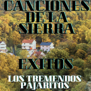 Popurri / El Incendio / La Pagada / Anillo Grabado / Quererte Mas / Bohemio De Aficion / Tengo Miedo