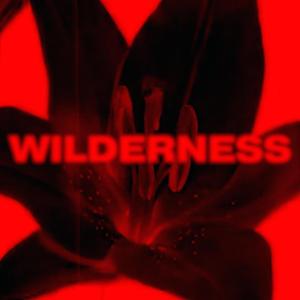 WILDERNESS (Synth Mix)
