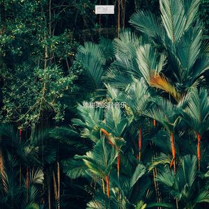 适合读快活的音乐