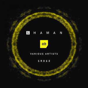 Bassman (Original Mix)