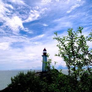 desidero