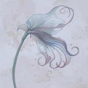 わたしたちの夢 (A&R)