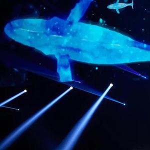 我的深情你若懂