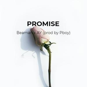 Promise