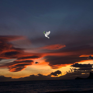 Царица небесная